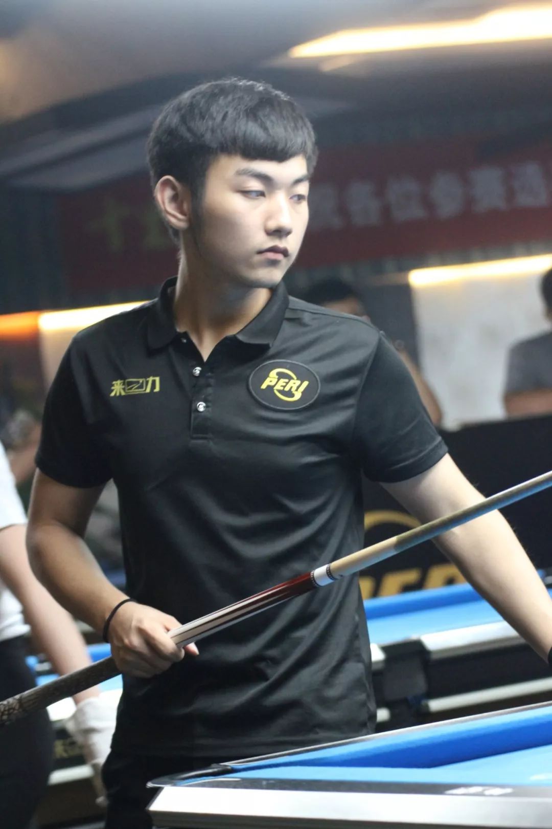 保障公共安 保障公共安