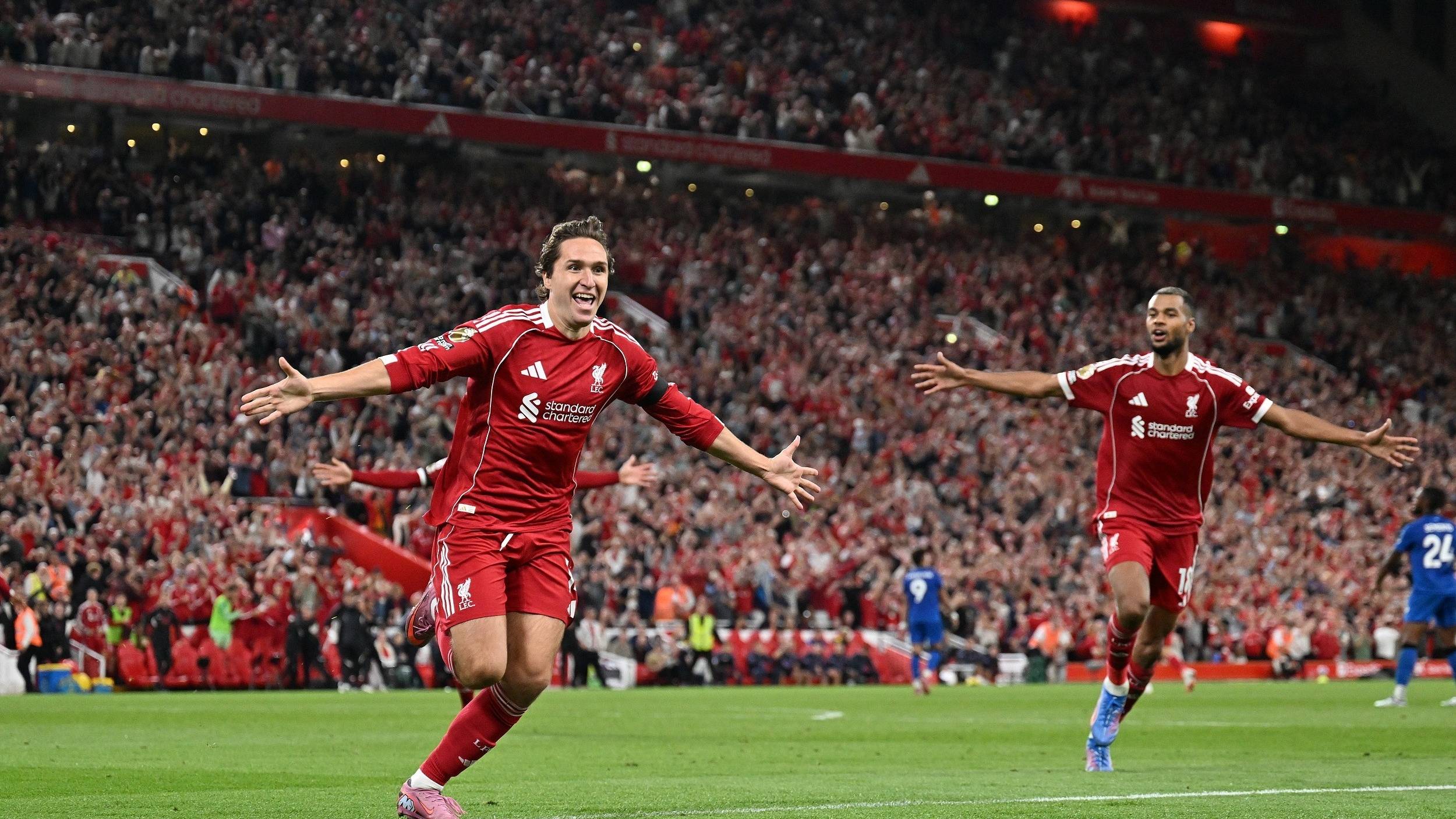 因为它不仅 因为它不仅