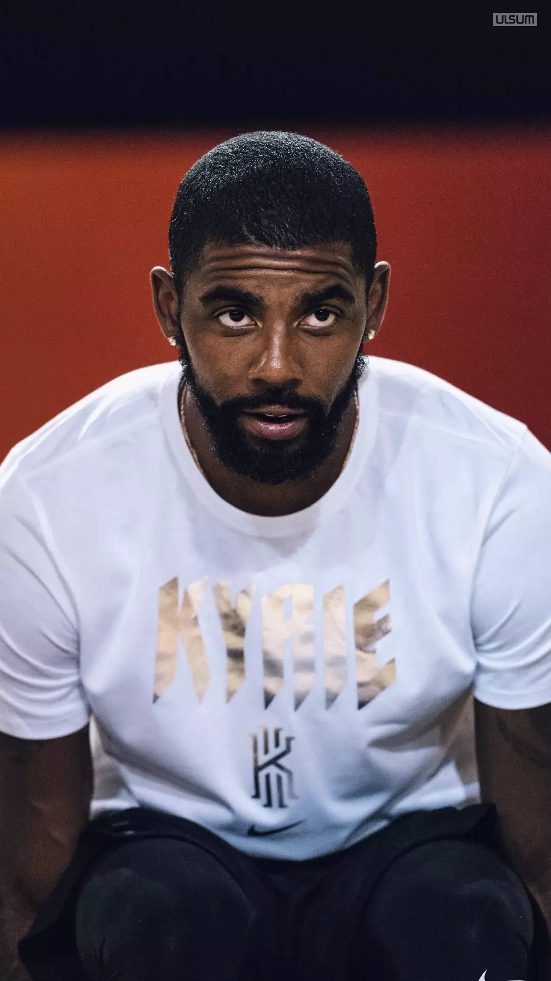 依靠的是双 依靠的是双