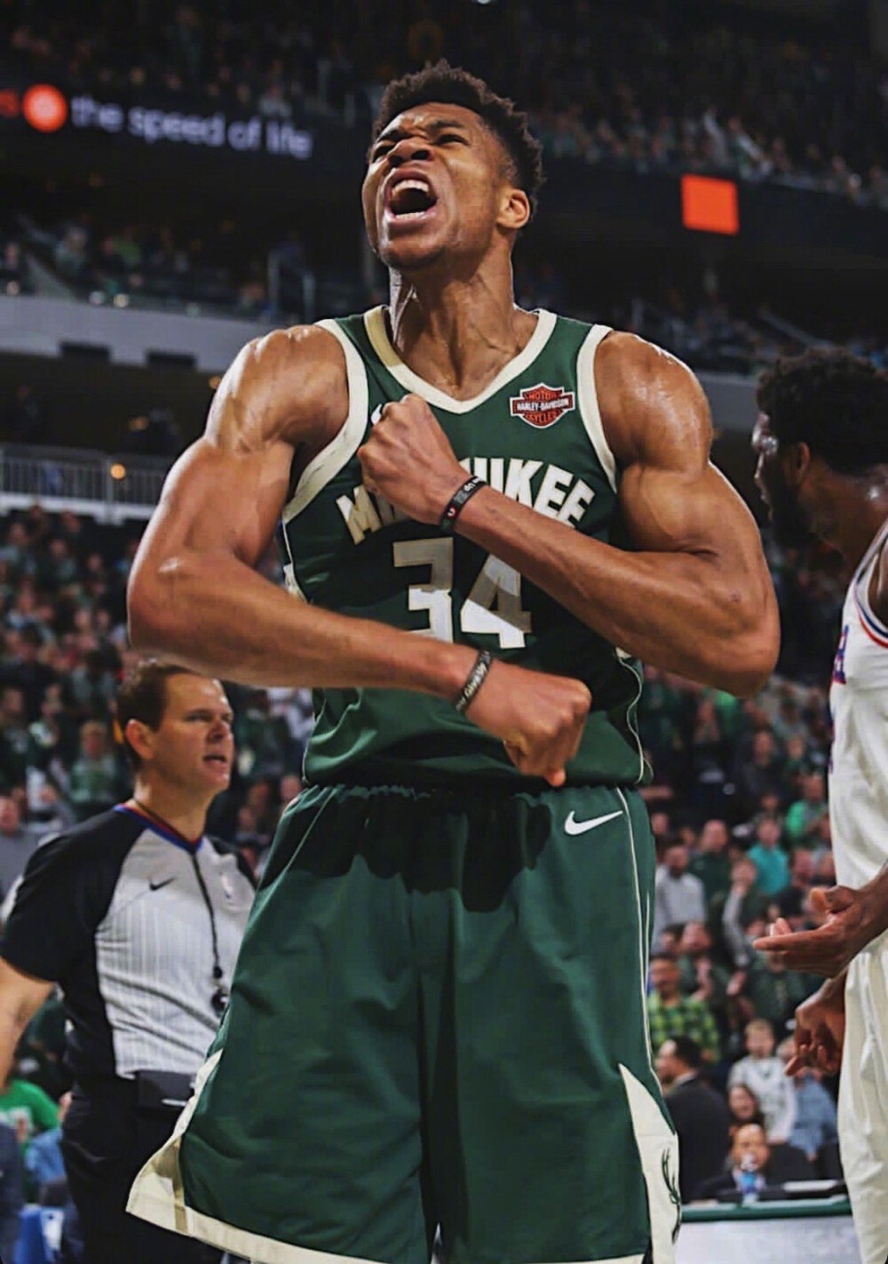 规则相互作 规则相互作